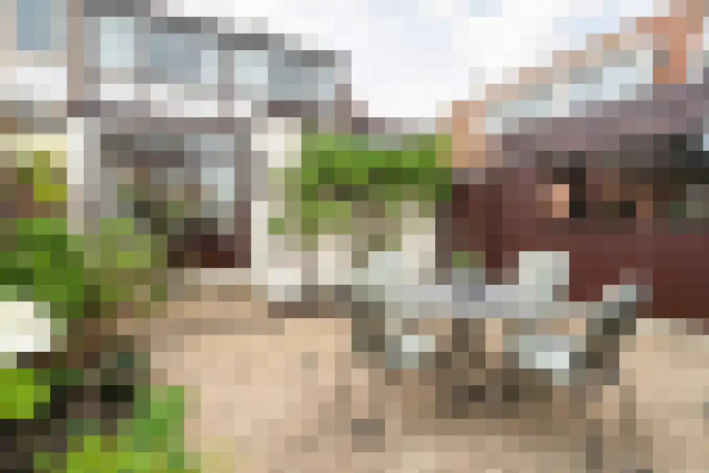 Raadhuisweg 113 Reeuwijk thumbnail 37