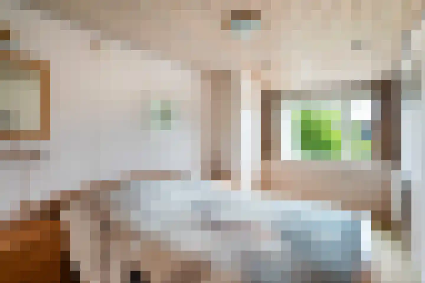 Raadhuisweg 113 Reeuwijk thumbnail 40