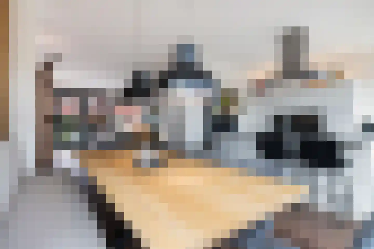Raadhuisweg 159 Reeuwijk thumbnail 19