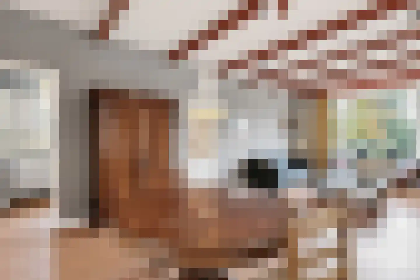 Raadhuisweg 17 Reeuwijk thumbnail 19