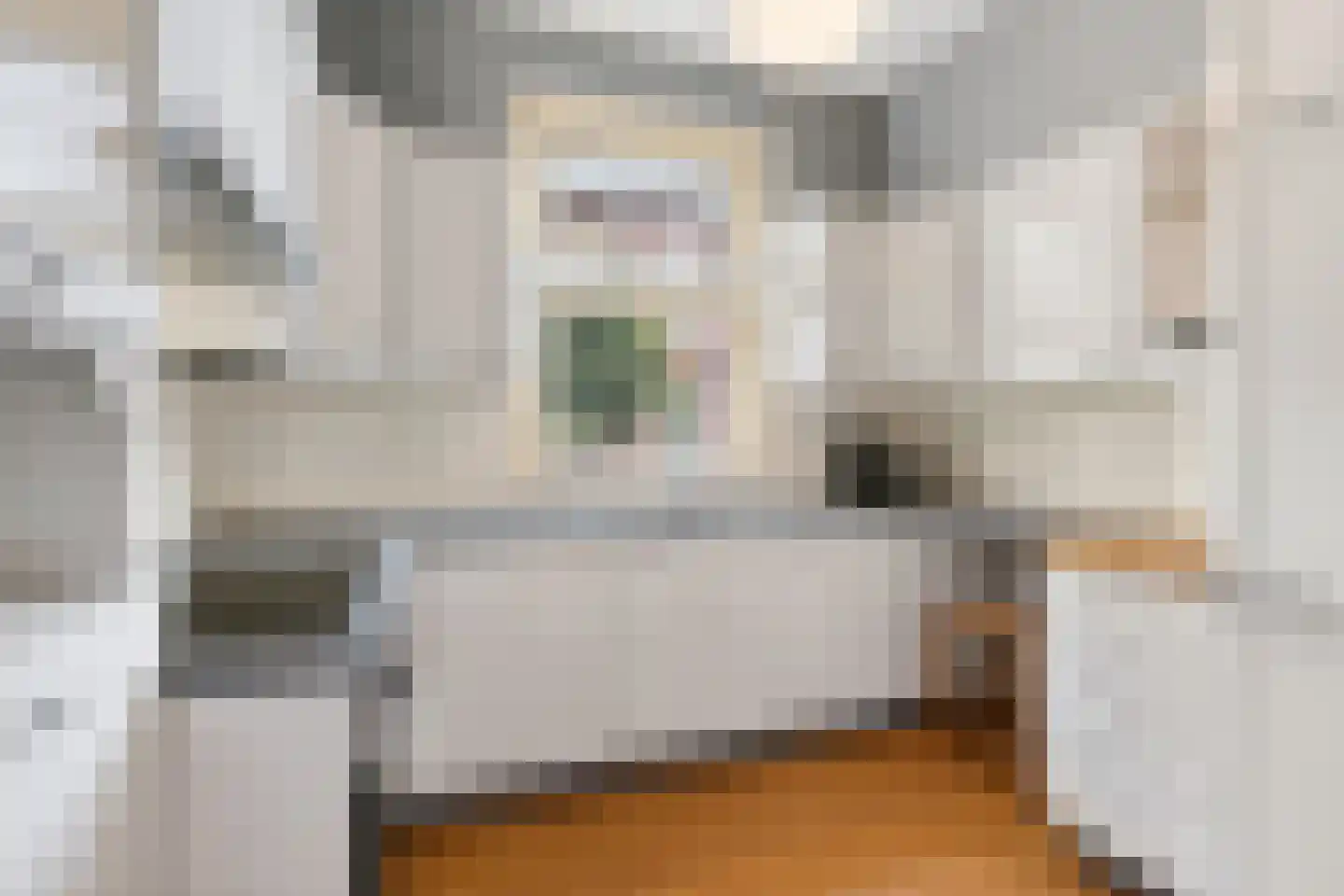 Raadhuisweg 17 Reeuwijk thumbnail 21