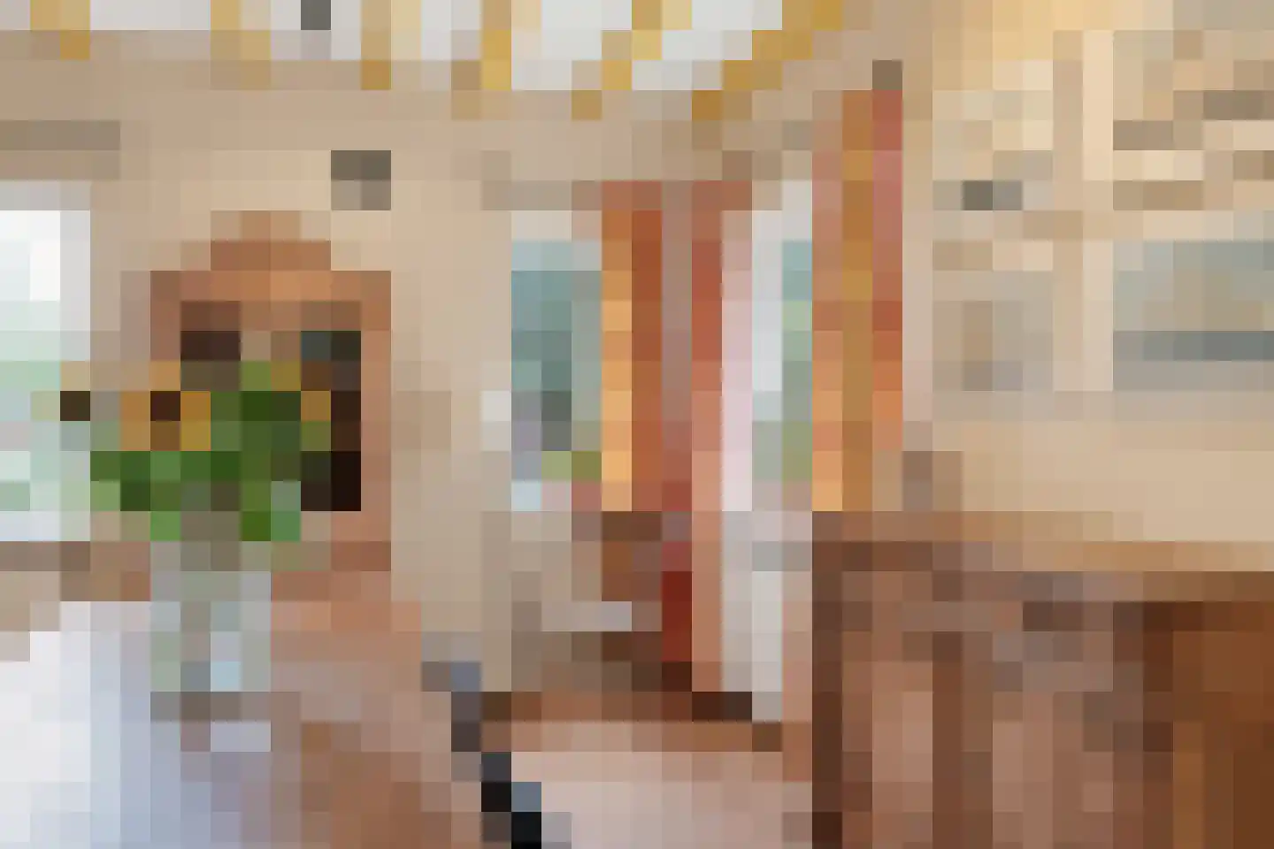 Raadhuisweg 17 Reeuwijk thumbnail 27