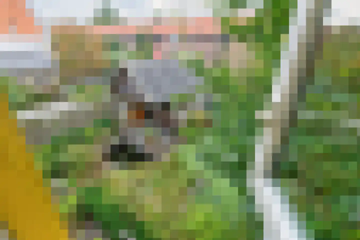 Raadhuisweg 17 Reeuwijk thumbnail 63