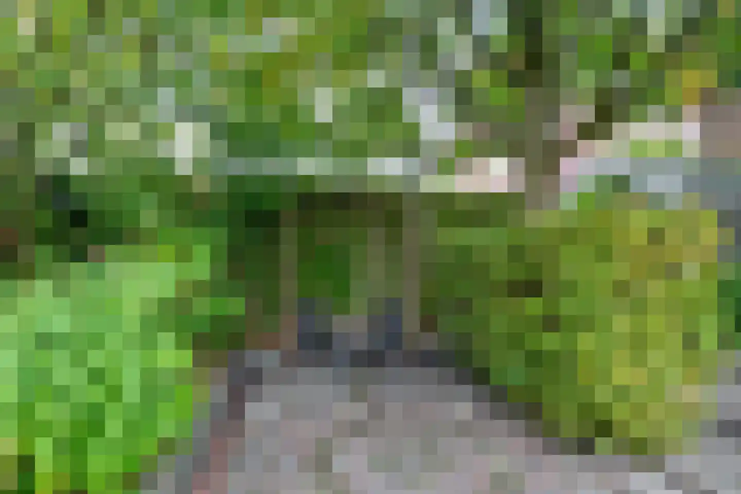 Raadhuisweg 17 Reeuwijk thumbnail 66
