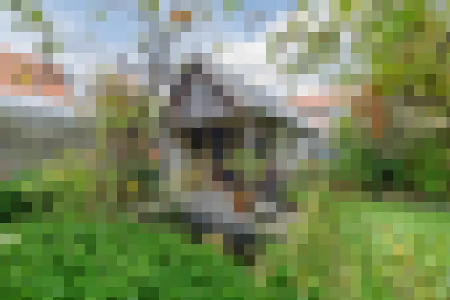 Raadhuisweg 17 Reeuwijk thumbnail 70