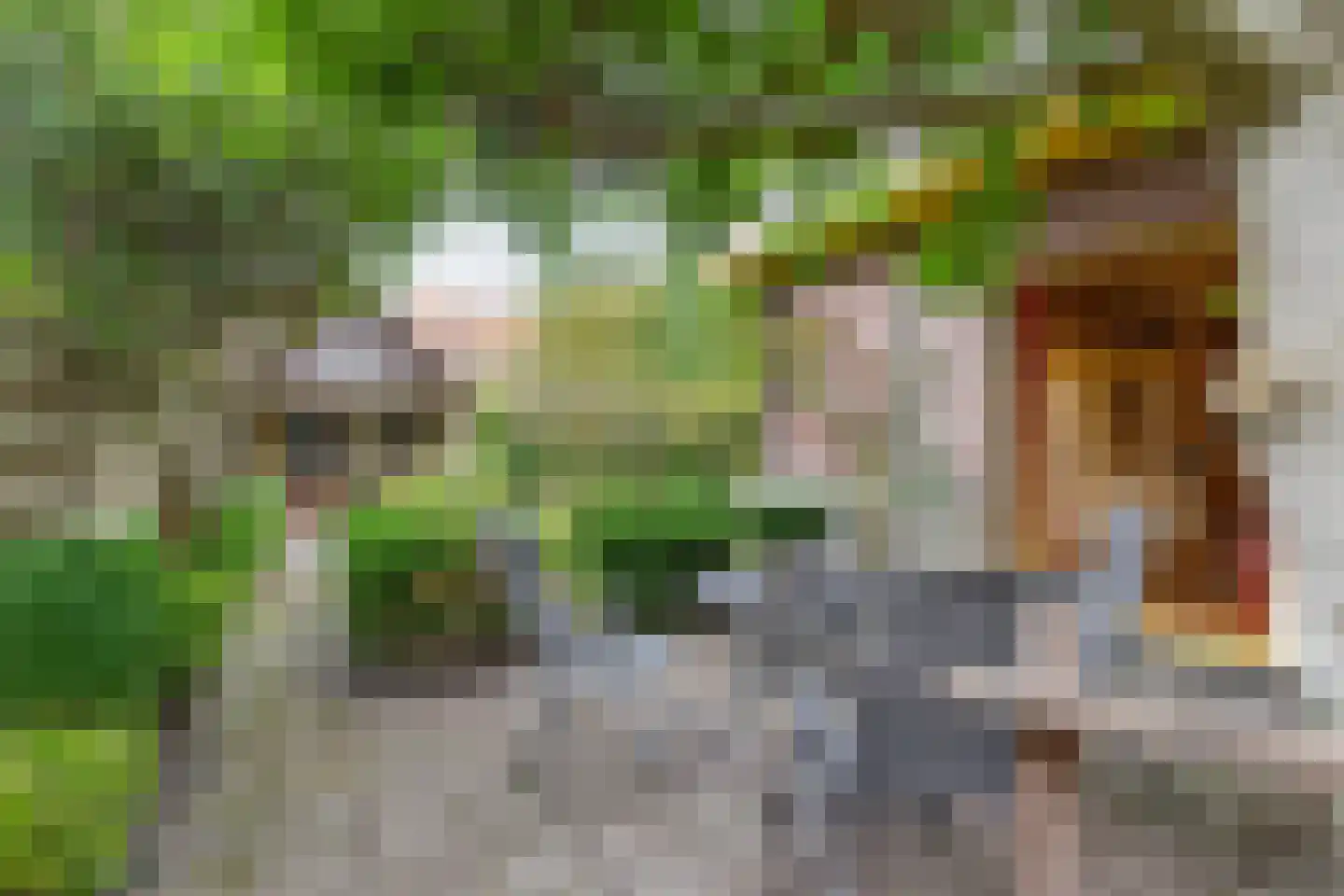 Raadhuisweg 17 Reeuwijk thumbnail 75