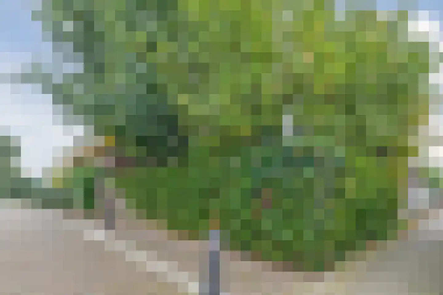 Raadhuisweg 17 Reeuwijk thumbnail 81