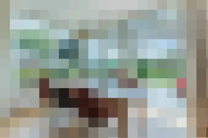 Raadhuisweg 36 Akersloot thumbnail 16