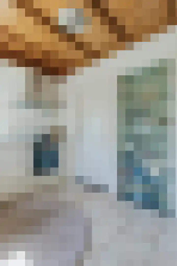 Raadhuisweg 36 Akersloot thumbnail 22
