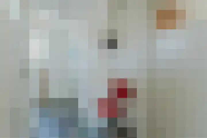 Raadhuisweg 36 Akersloot thumbnail 34
