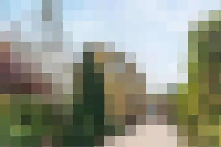 Raadhuisweg 36 Akersloot thumbnail 4