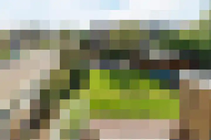 Raadhuisweg 36 Akersloot thumbnail 49