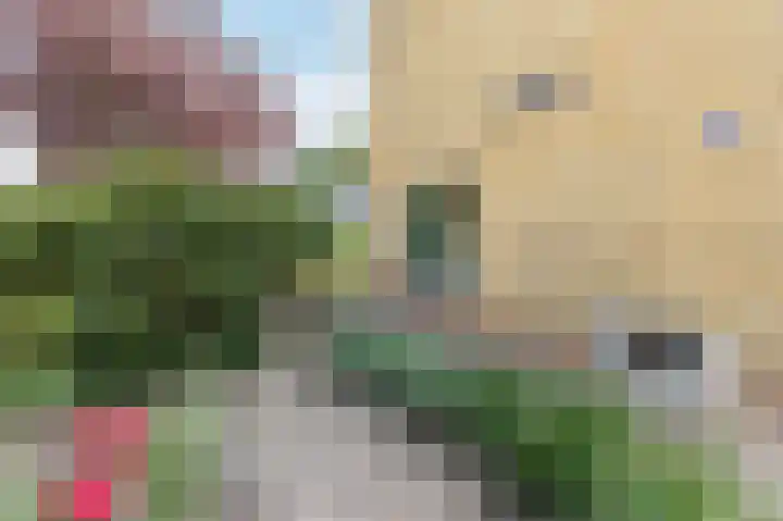 Raadhuisweg 36 Akersloot thumbnail 51