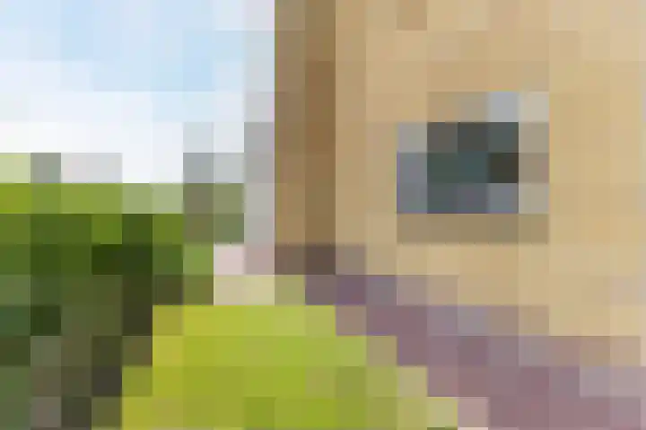 Raadhuisweg 36 Akersloot thumbnail 53