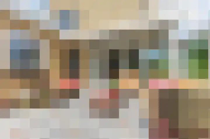 Raadhuisweg 36 Akersloot thumbnail 54