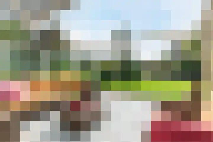 Raadhuisweg 36 Akersloot thumbnail 56