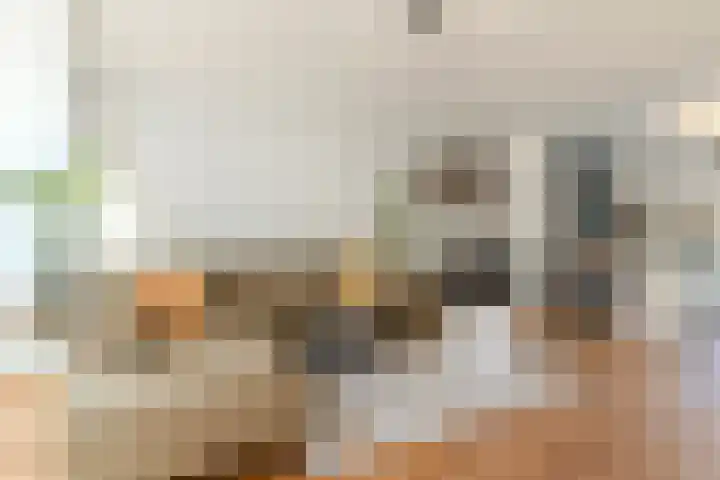 Raadsheer Luijbenstraat 14 Tilburg thumbnail 11