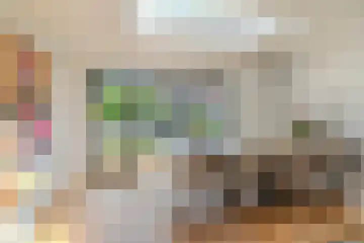 Raadsheer Luijbenstraat 14 Tilburg thumbnail 13