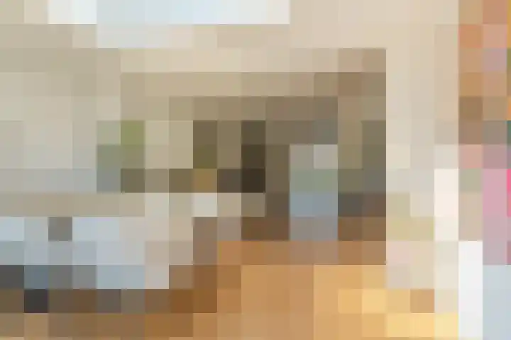 Raadsheer Luijbenstraat 14 Tilburg thumbnail 14