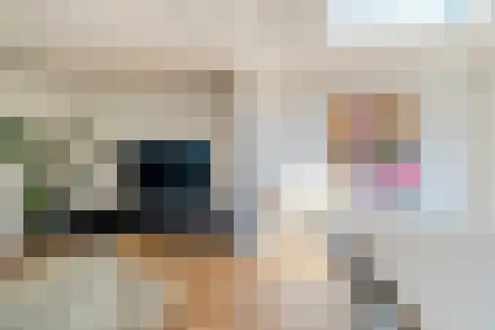 Raadsheer Luijbenstraat 14 Tilburg thumbnail 16