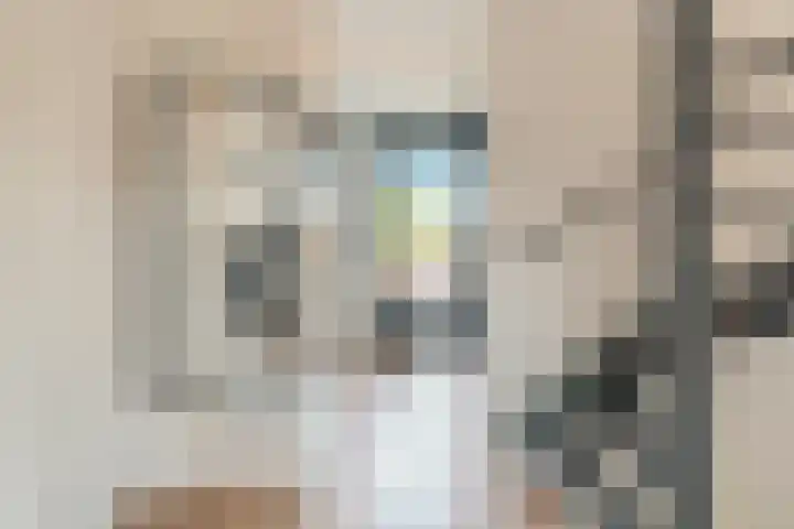 Raadsheer Luijbenstraat 14 Tilburg thumbnail 20