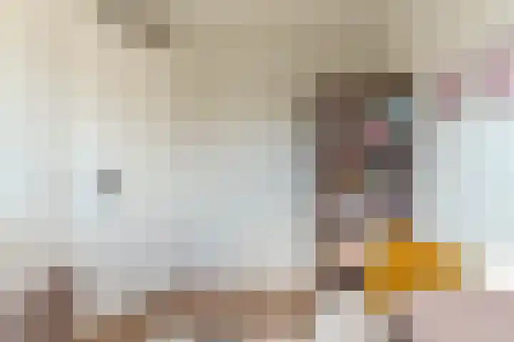 Raadsheer Luijbenstraat 14 Tilburg thumbnail 25