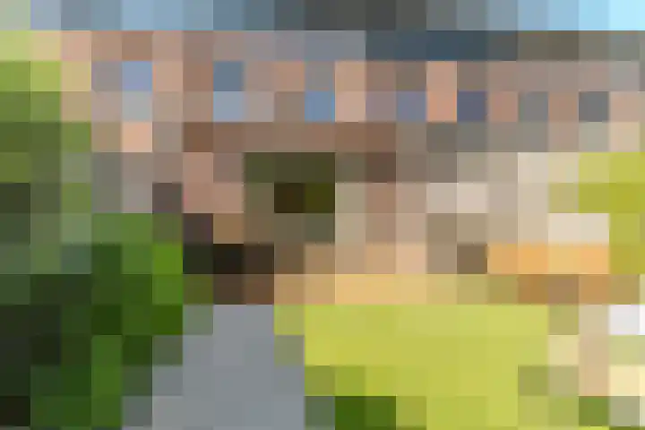 Raadsheer Luijbenstraat 14 Tilburg thumbnail 40
