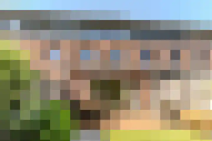 Raadsheer Luijbenstraat 14 Tilburg thumbnail 41