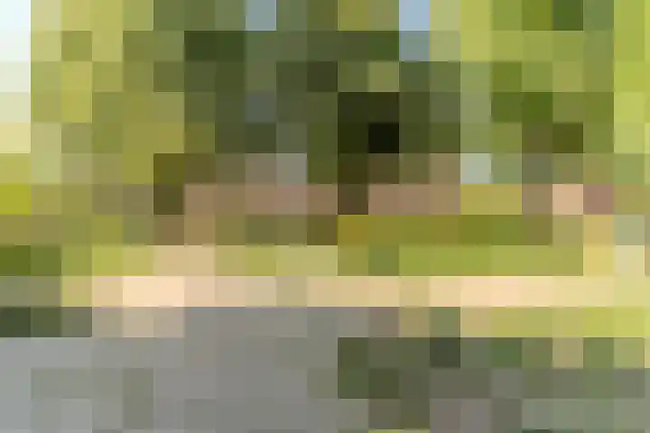 Raadsheer Luijbenstraat 14 Tilburg thumbnail 49