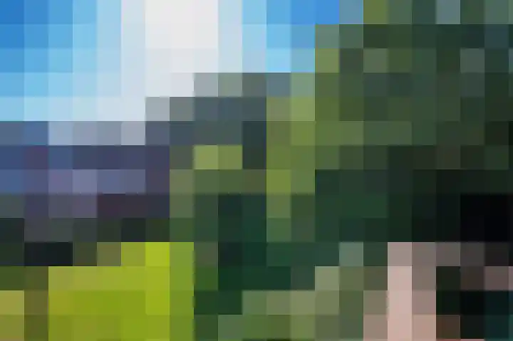 Raadsherenveld 116 Apeldoorn thumbnail 17
