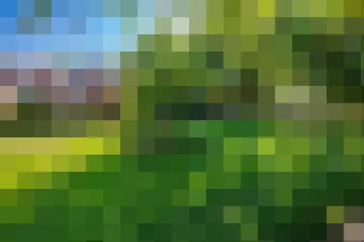 Raadsherenveld 116 Apeldoorn thumbnail 21