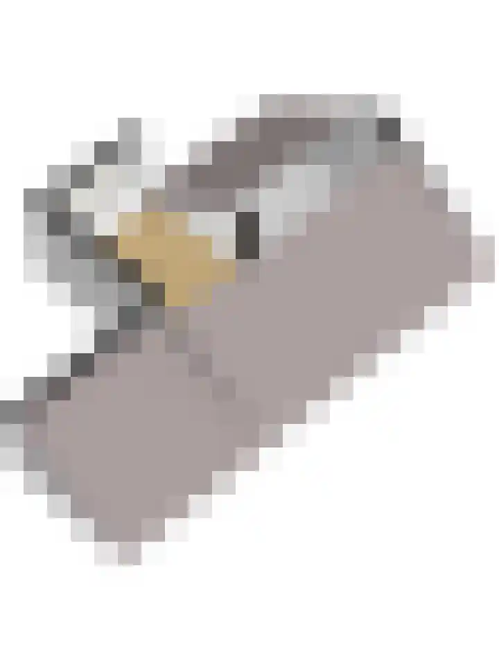 Raadsherenveld 116 Apeldoorn thumbnail 27