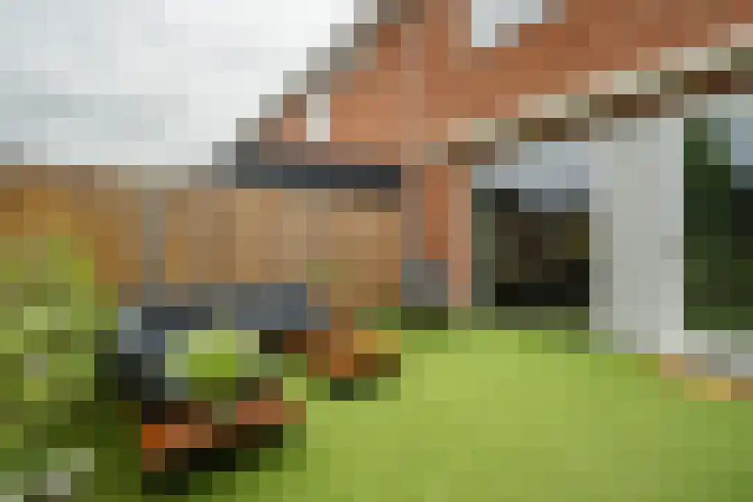 Raadsliedenstraat 13 Leerdam thumbnail 10