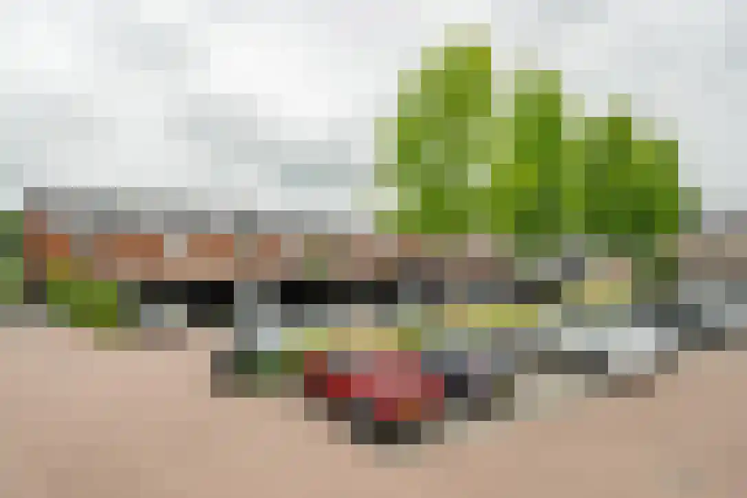 Raadsliedenstraat 13 Leerdam thumbnail 44