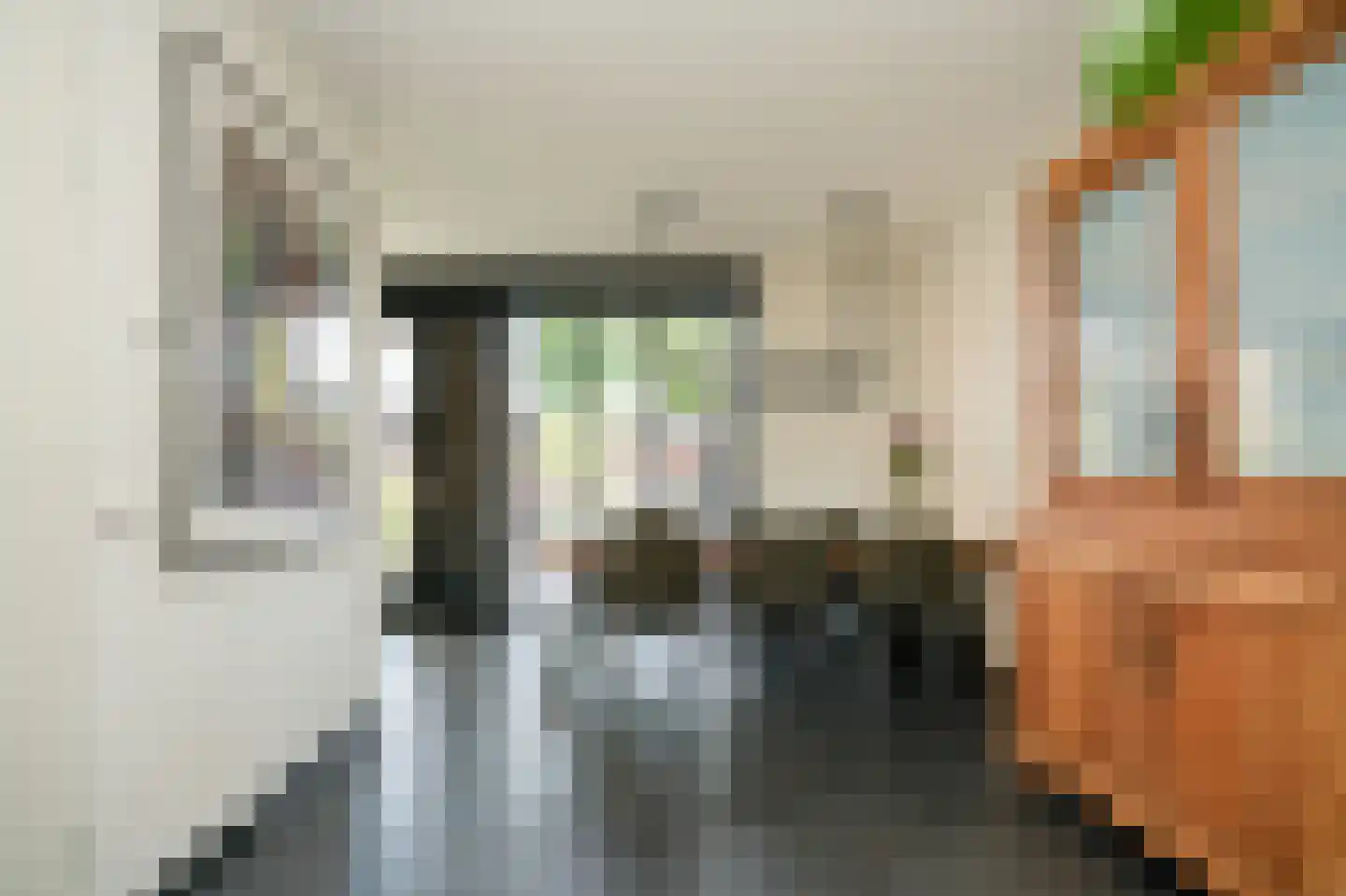 Raadsliedenstraat 9 Leerdam thumbnail 10