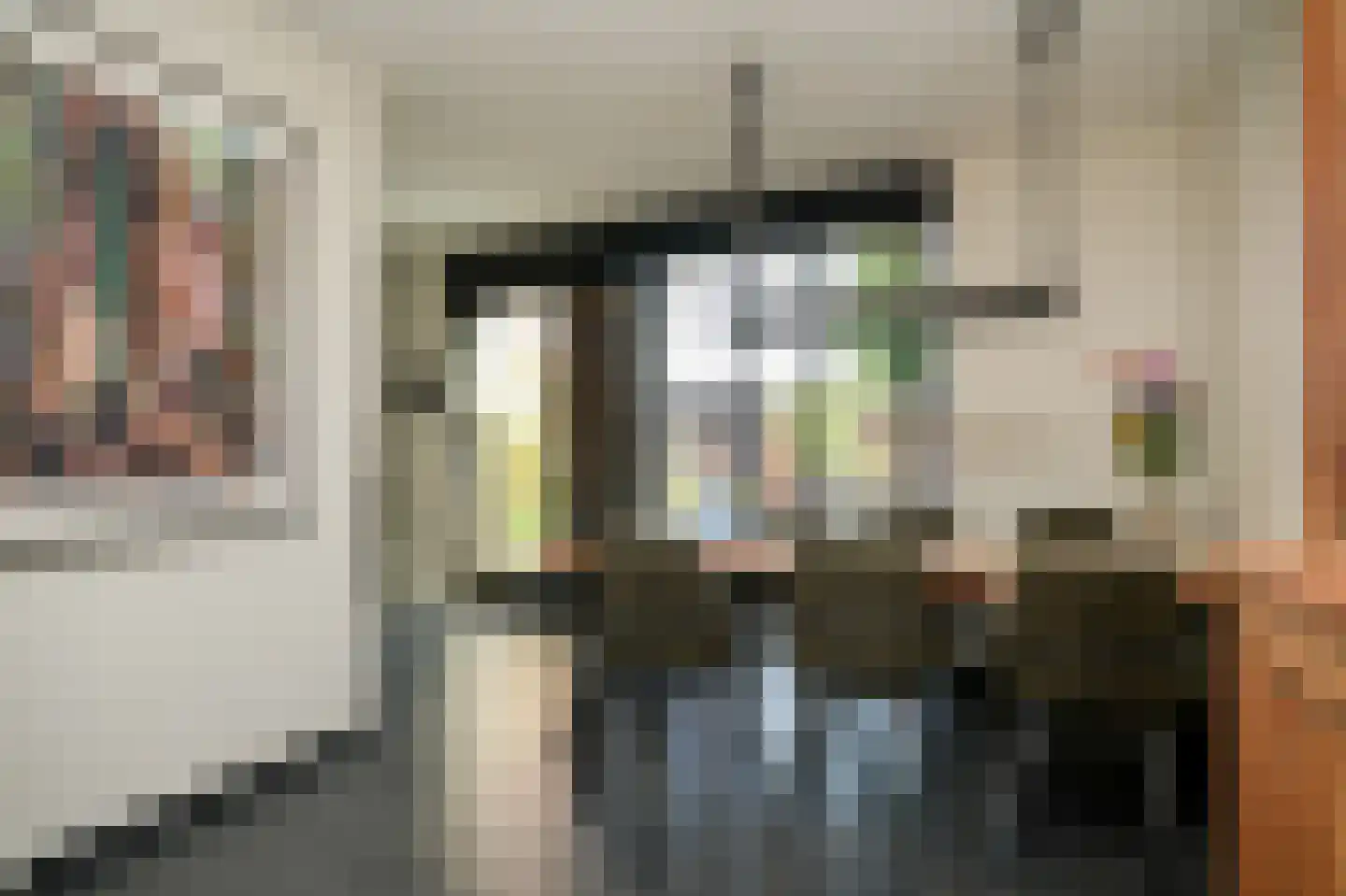 Raadsliedenstraat 9 Leerdam thumbnail 12