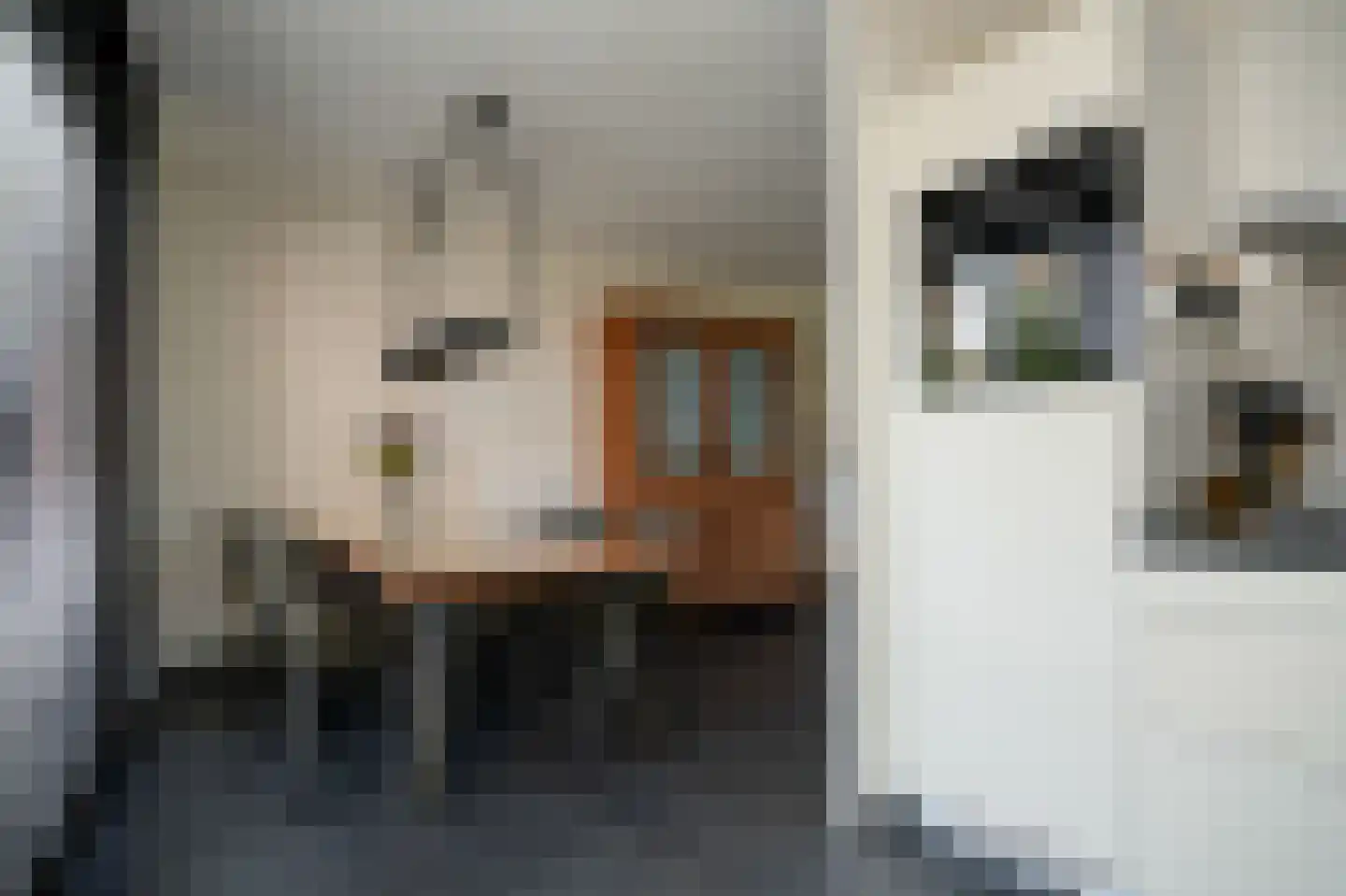 Raadsliedenstraat 9 Leerdam thumbnail 17