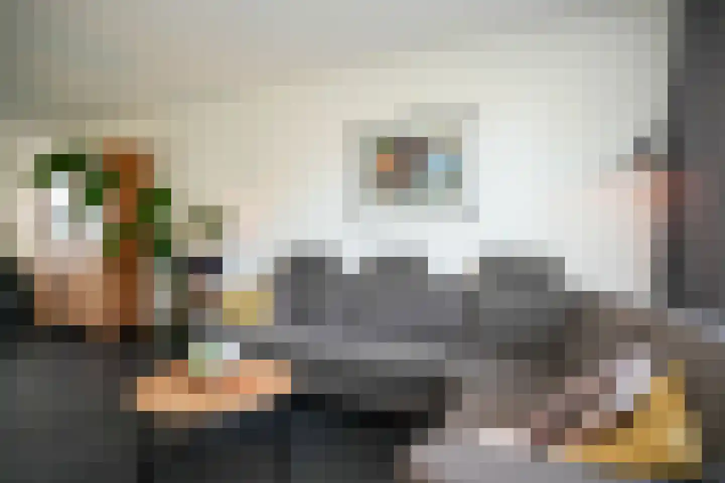 Raadsliedenstraat 9 Leerdam thumbnail 9