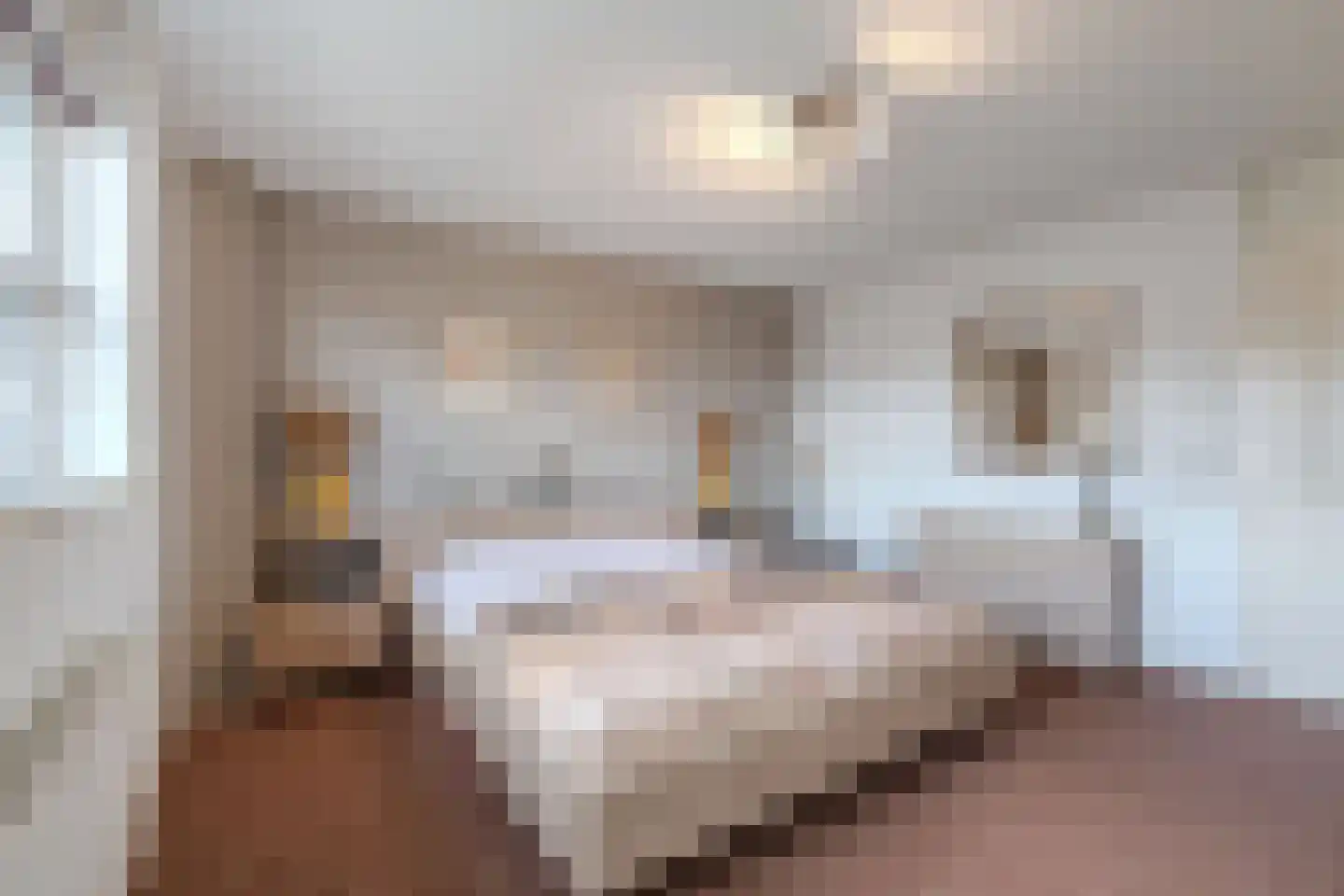 Raadssingel 22 Steenwijk thumbnail 19