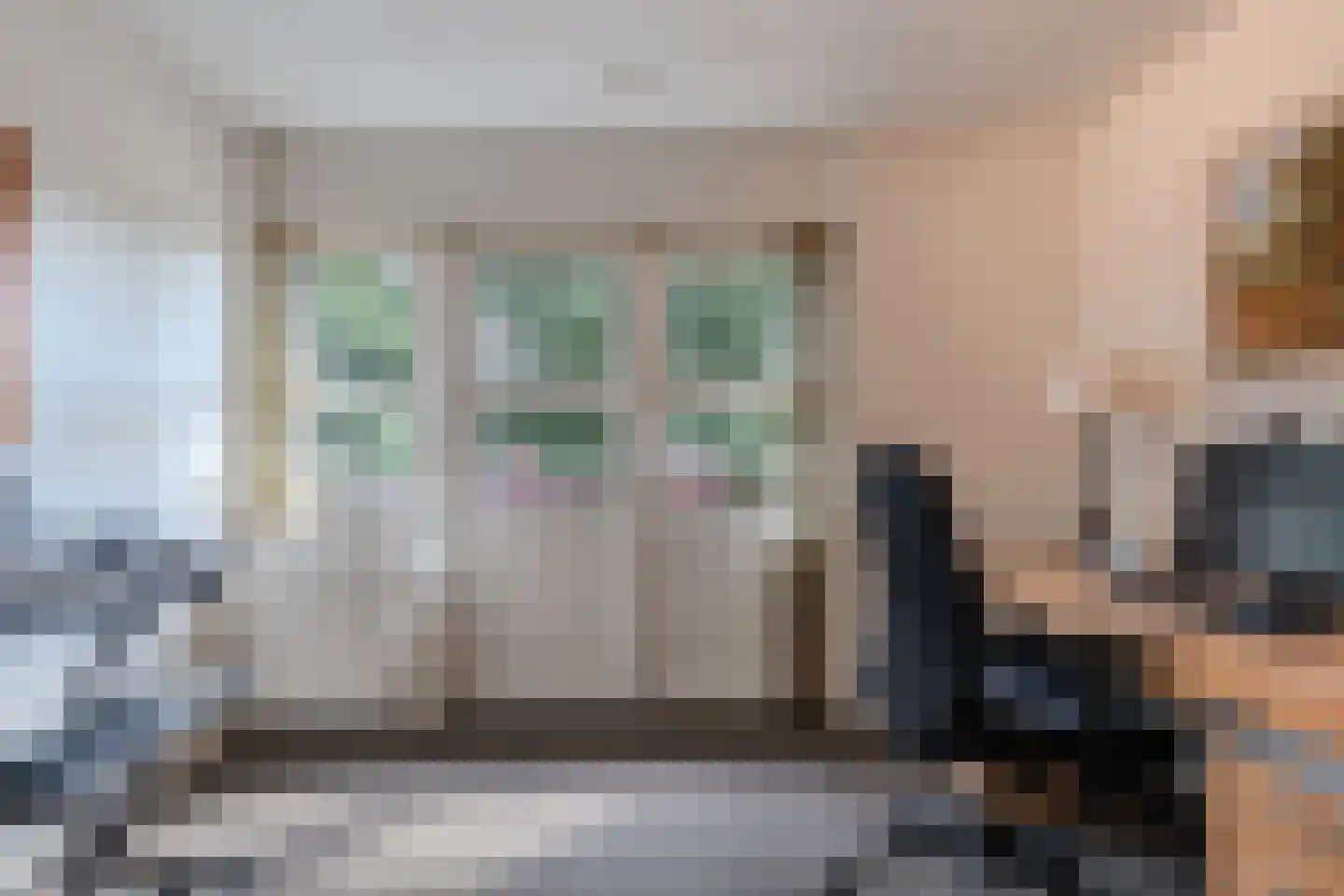 Raadssingel 22 Steenwijk thumbnail 20