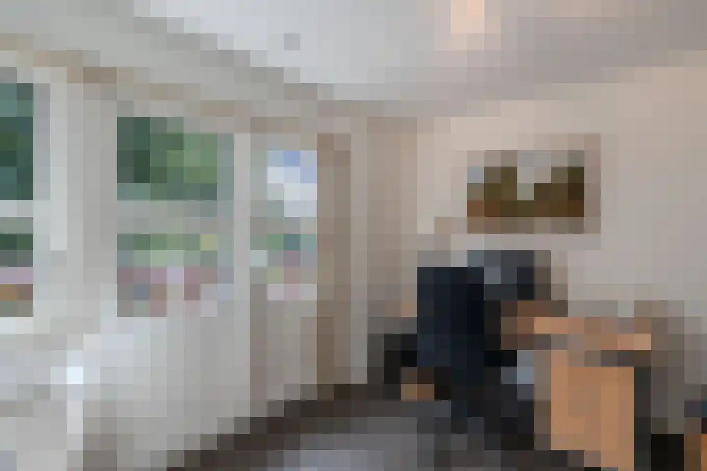 Raadssingel 22 Steenwijk thumbnail 21