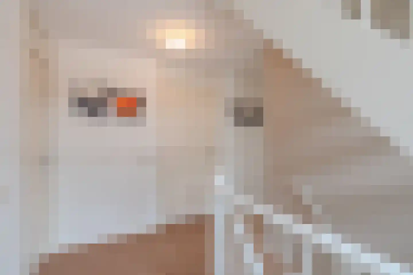 Raadssingel 22 Steenwijk thumbnail 32