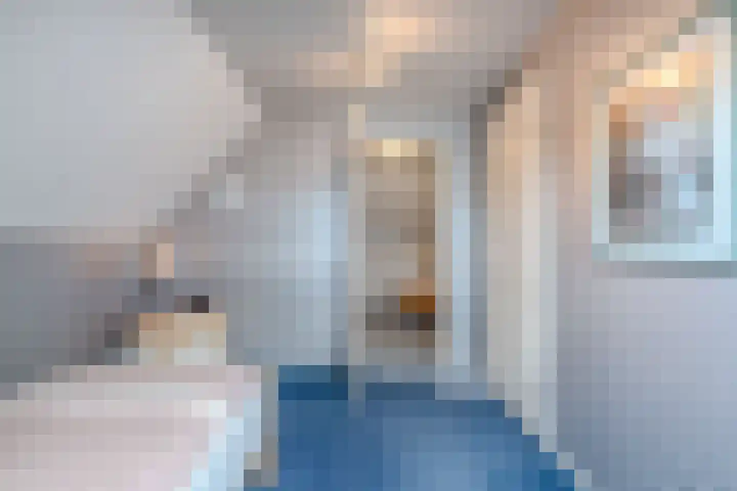 Raadssingel 22 Steenwijk thumbnail 34