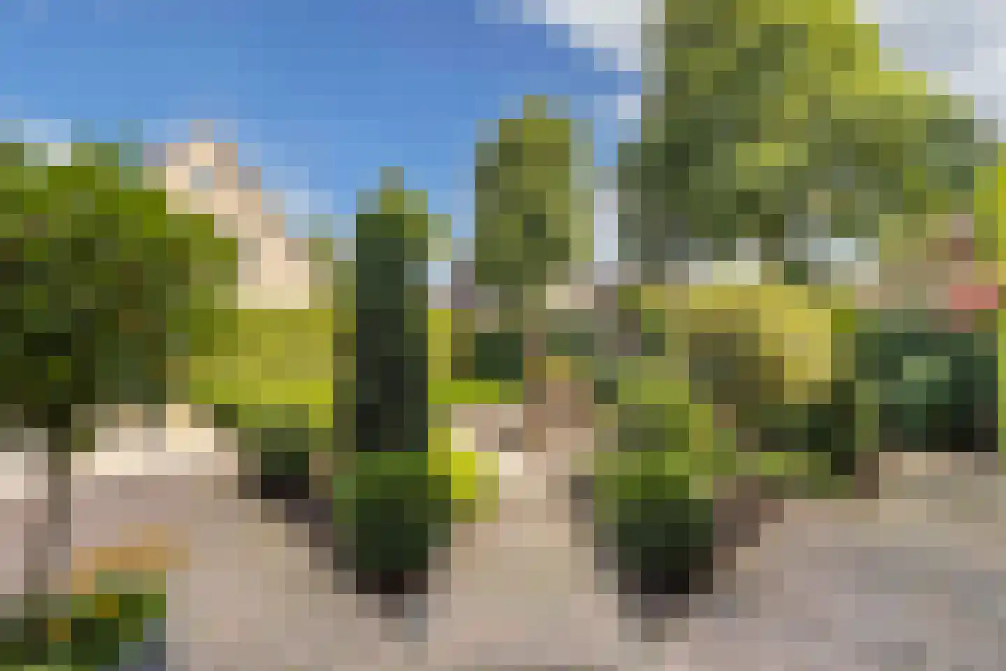 Raadssingel 22 Steenwijk thumbnail 41
