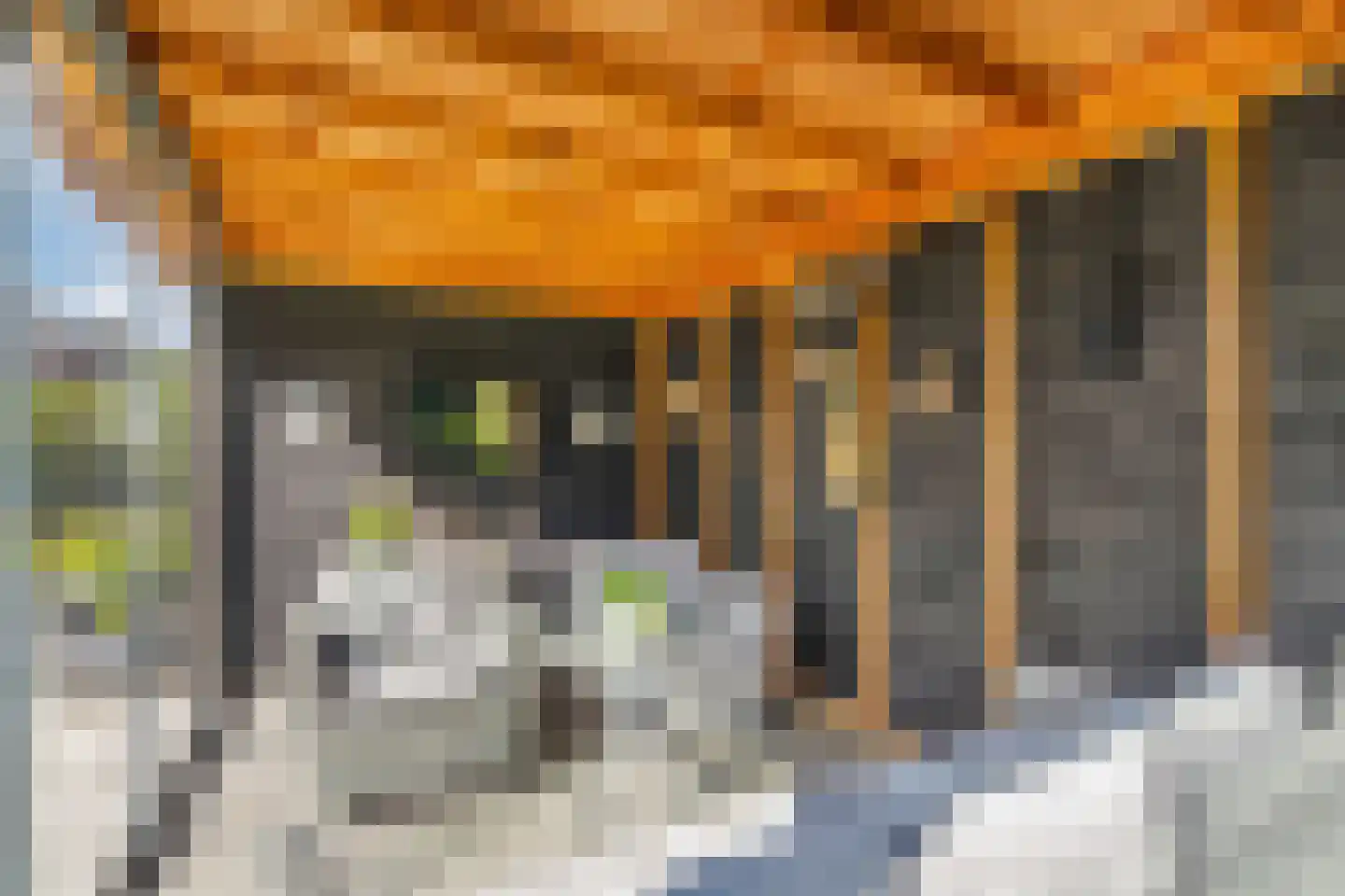 Raadssingel 22 Steenwijk thumbnail 46