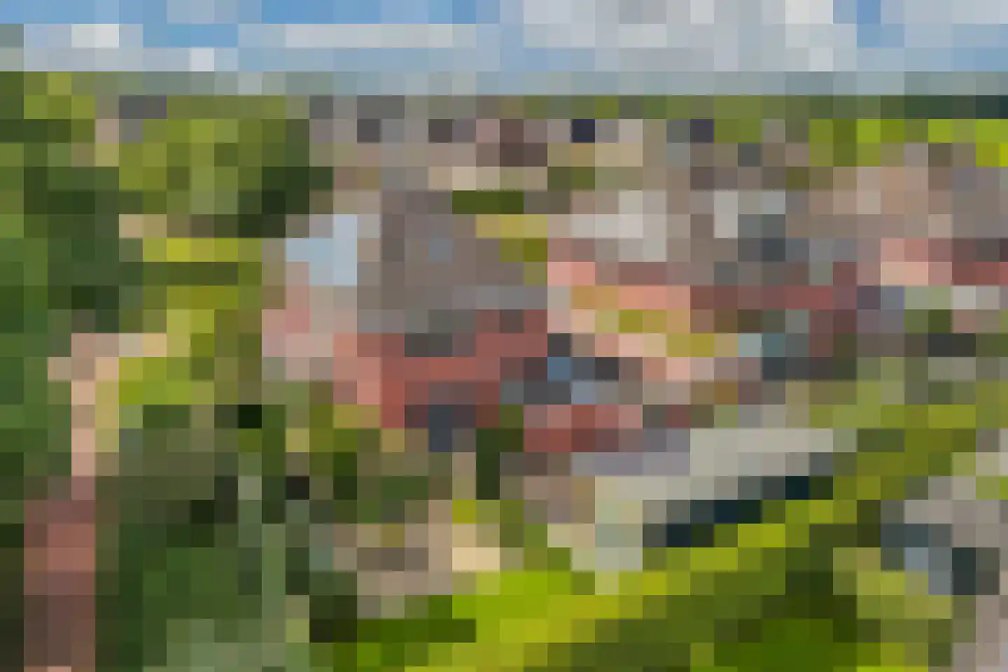 Raadssingel 22 Steenwijk thumbnail 5