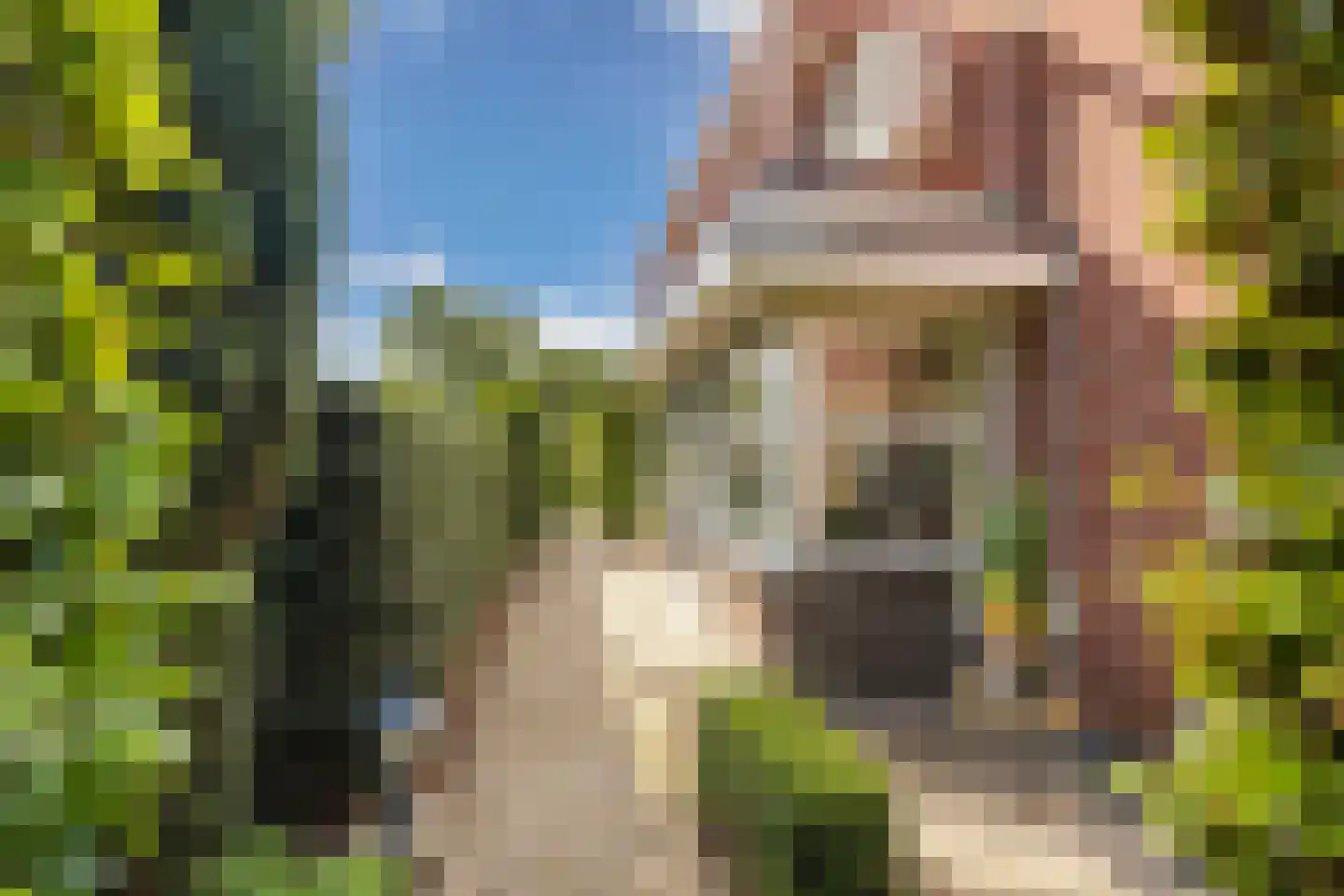 Raadssingel 22 Steenwijk thumbnail 51