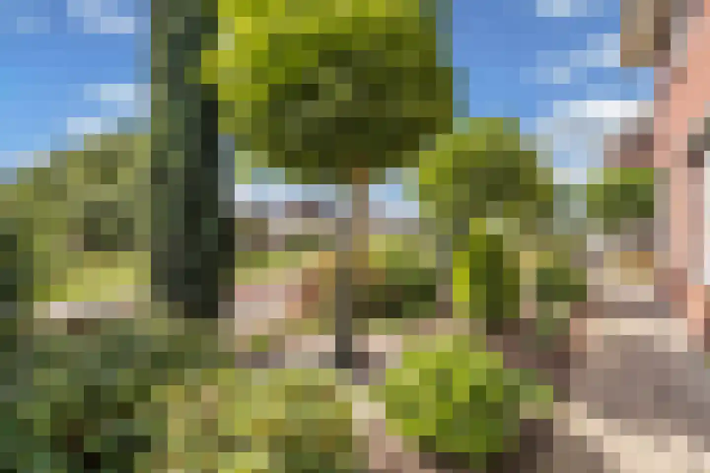 Raadssingel 22 Steenwijk thumbnail 52