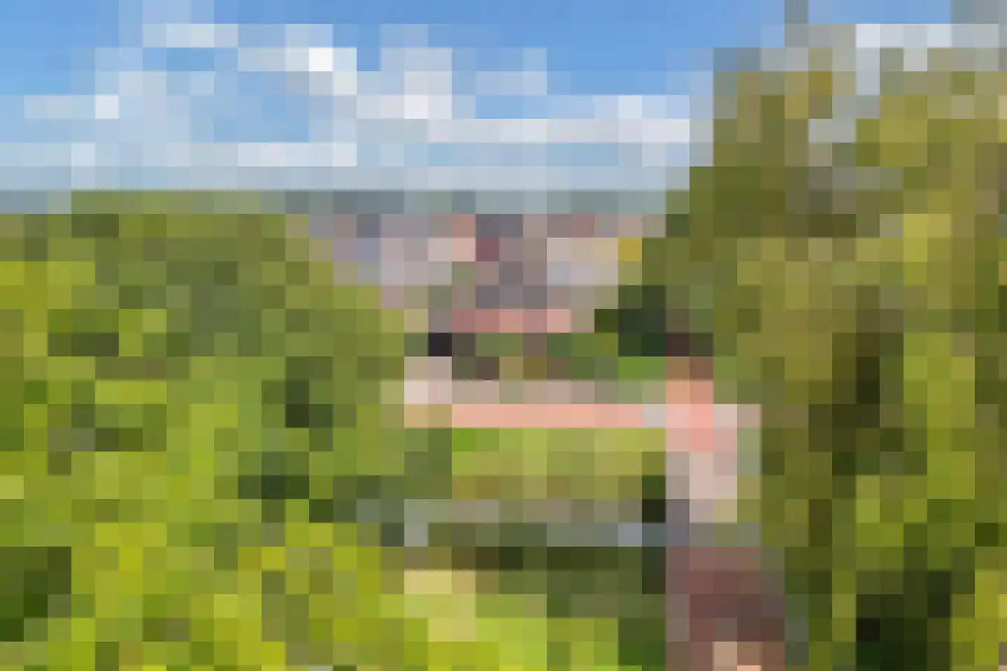 Raadssingel 22 Steenwijk thumbnail 56