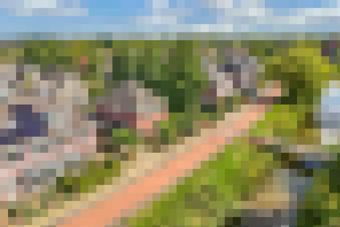 Raadssingel 22 Steenwijk thumbnail 57